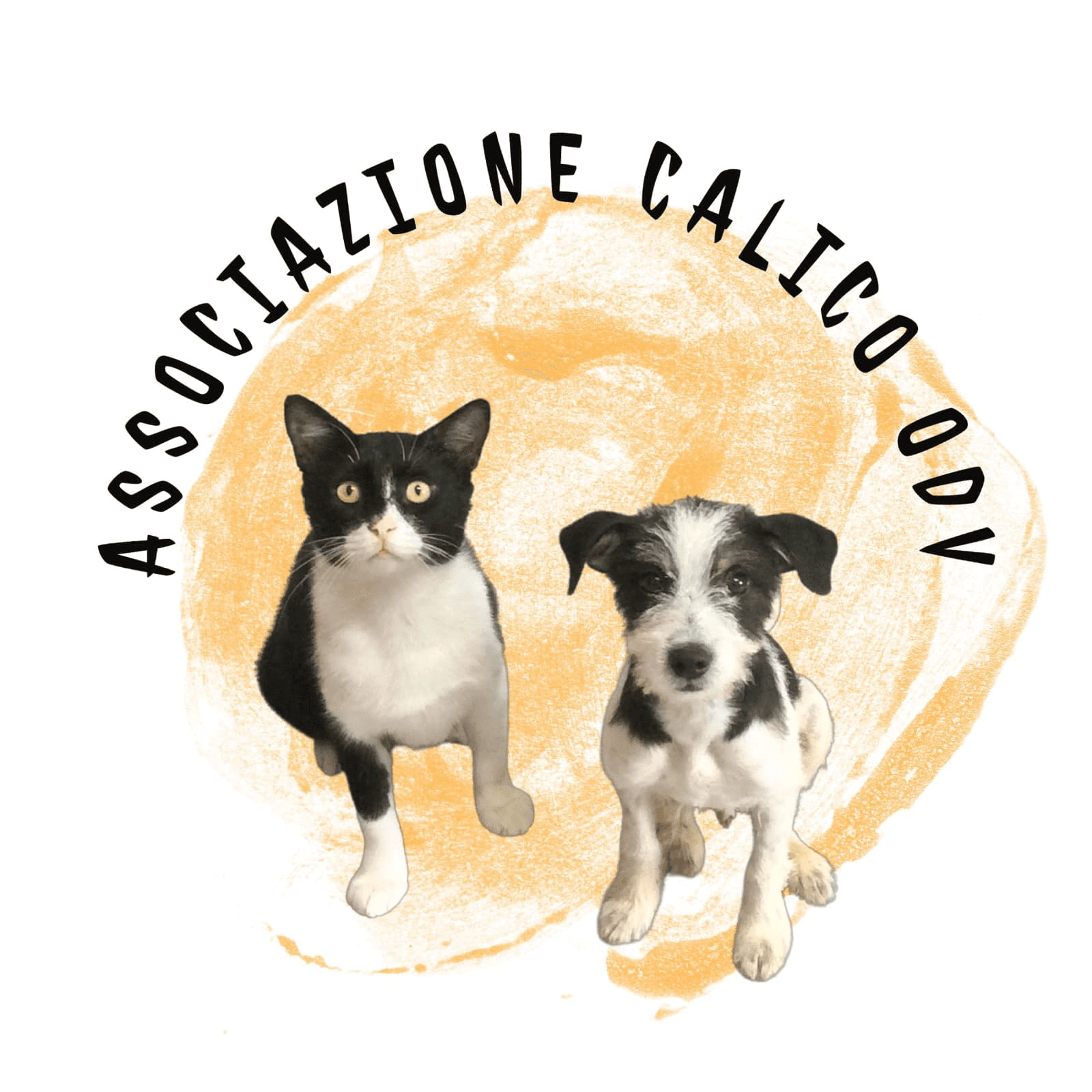 Logo Associazione Calico ODV